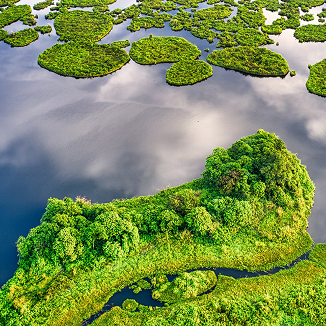 Ecology and environmental protection